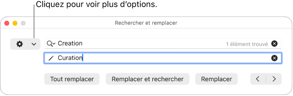 La fenêtre Rechercher et remplacer accompagnée d’une légende pour le menu contextuel qui affiche plus d’options.