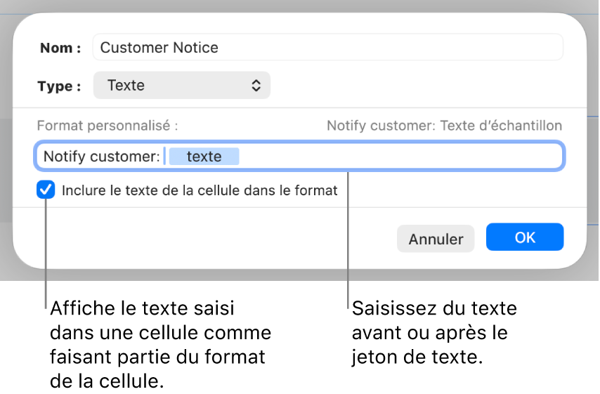 Format de cellule texte personnalisé.