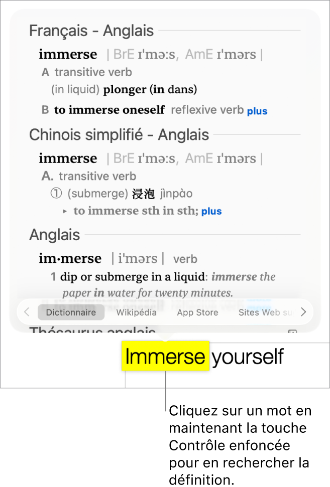 Un texte avec un mot surligné et une fenêtre contenant sa définition et des synonymes. Deux boutons en bas de la fenêtre fournissent des liens vers le dictionnaire et vers Wikipédia.
