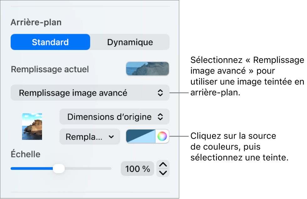 Les commandes Arrière-plan avec un remplissage image avancé teinté pour l’arrière-plan des diapositives.