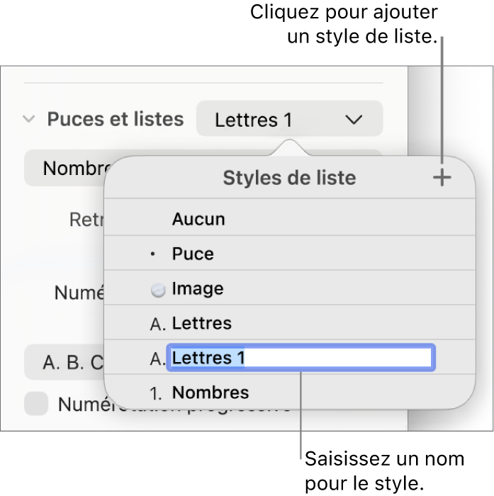 Menu contextuel Styles de liste avec un bouton Ajouter dans le coin supérieur et un nom de style de paramètre fictif dont le texte est sélectionné.