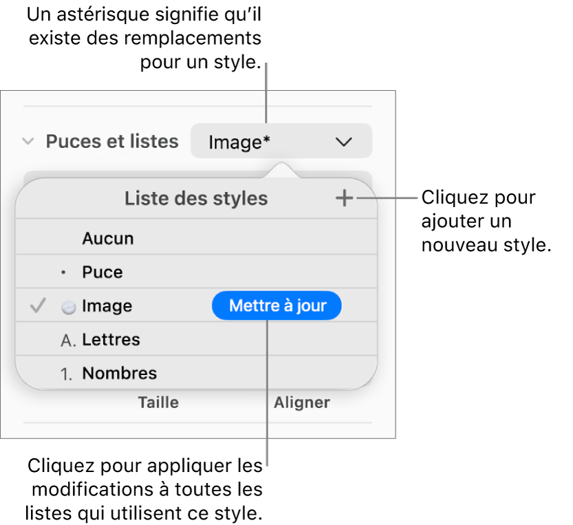 Le menu local « Liste des styles » avec un astérisque indiquant une substitution, des légendes pour le bouton « Nouveau style », et un sous-menu d’options de gestion des styles.