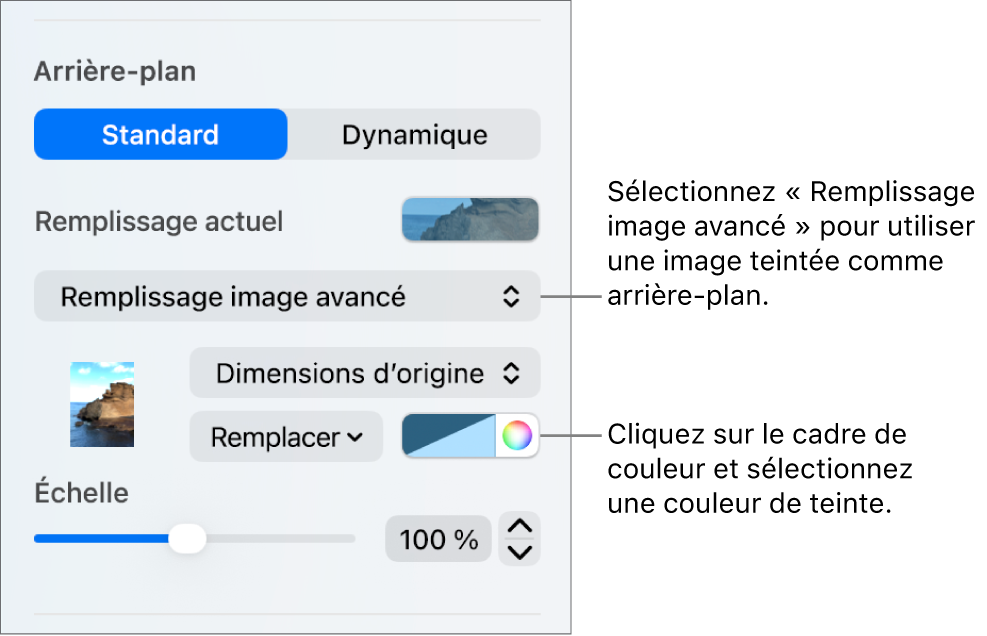 Les commandes Arrière-plan avec une image teintée de type Remplissage image avancé définie comme arrière-plan de la diapositive.