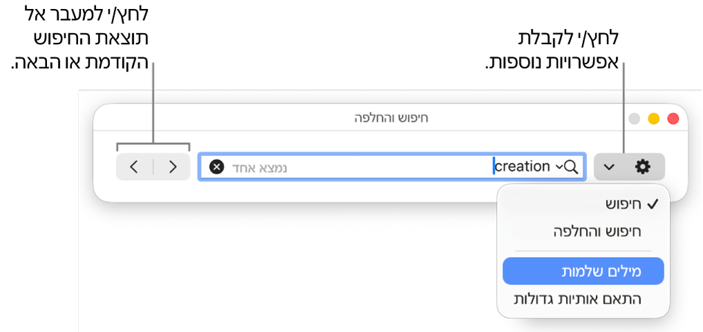 החלון ״חפש והחלף״ עם התפריט הקופצני שמציג את האפשרויות ״חפש״, ״חפש והחלף״, ״מילים שלמות״ ו״התאם אותיות גדולות״. החיצים בצד מאפשרים לך לדלג אל תוצאות החיפוש הקודמות או הבאות.