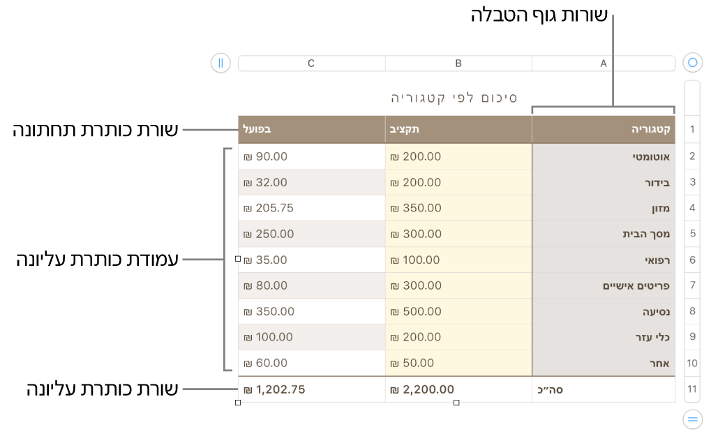 טבלה עם שורות ועמודות כותרת עליונה, גוף טבלה וכותרת תחתונה ועם ידיות אחיזה להוספה או מחיקה של שורות או עמודות.