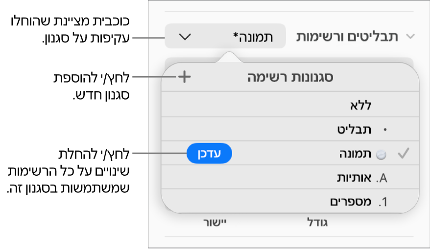 התפריט הקופצני ״סגנונות רשימה״ עם כוכבית המציינת החלפה, הסבר לכפתור ״סגנון חדש״ ותפריט משנה עם אפשרויות לניהול סגנונות.