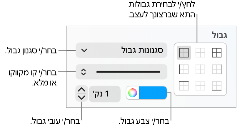 כלי הבקרה בסרגל הצד המיועדים לשינוי המראה של גבולות תאים.