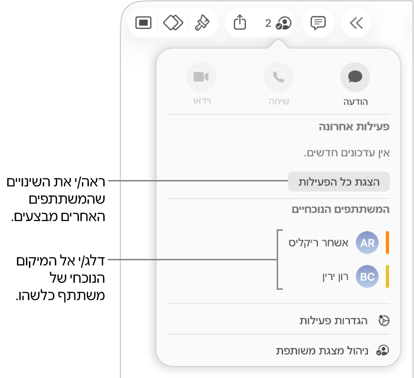 תפריט ״שיתוף פעולה״ שרואים בו שני משתתפים פעילים כעת.