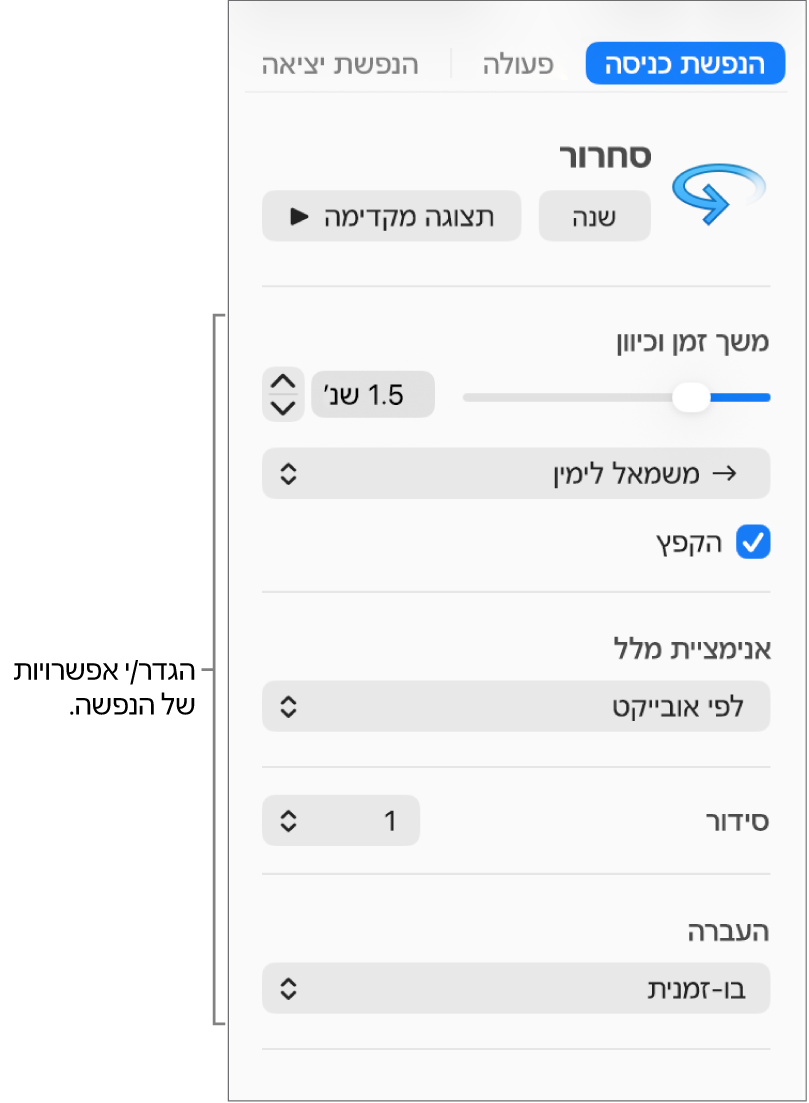 אפשרויות ״הנפשת כניסה״ בכרטיסייה ״הנפשה״ בסרגל הצד.