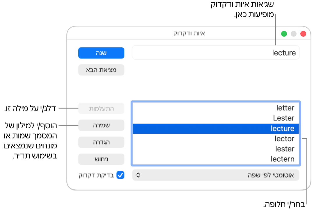החלון ״איות ודקדוק״.
