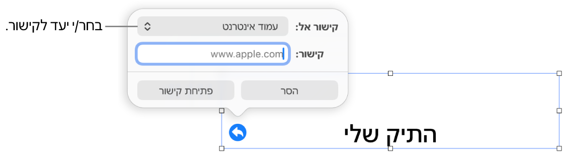 כלי הבקרה של עורך הקישורים כאשר האפשרות ״עמוד אינטרנט״ נבחרת ובחלק התחתון מוצגים הכפתורים ״הסר״ ו״פתח קישור״.