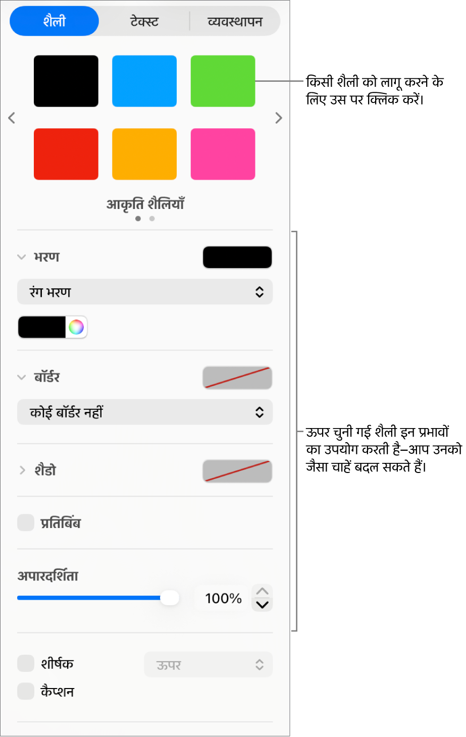 साइडबार के “फ़ॉर्मैट करें” सेक्शन में आकृति शैलियाँ और विकल्प।