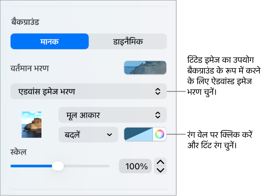 बैकग्राउंड नियंत्रण, जिनमें टिंट किए गए एडवांस इमेज भरण को स्लाइड बैकग्राउंड के रूप में सेट किया गया है।
