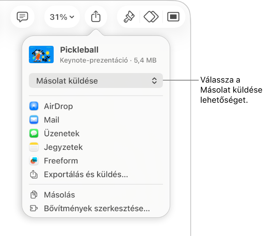 A Megosztás menü a felül elhelyezkedő Másolat küldése lehetőséggel.