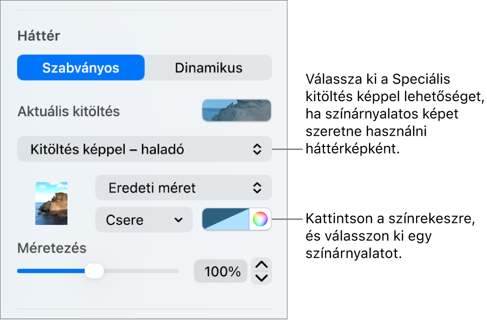 A Háttér vezérlők egy, a dia háttereként beállított színárnyalatos Speciális kitöltés képpel.