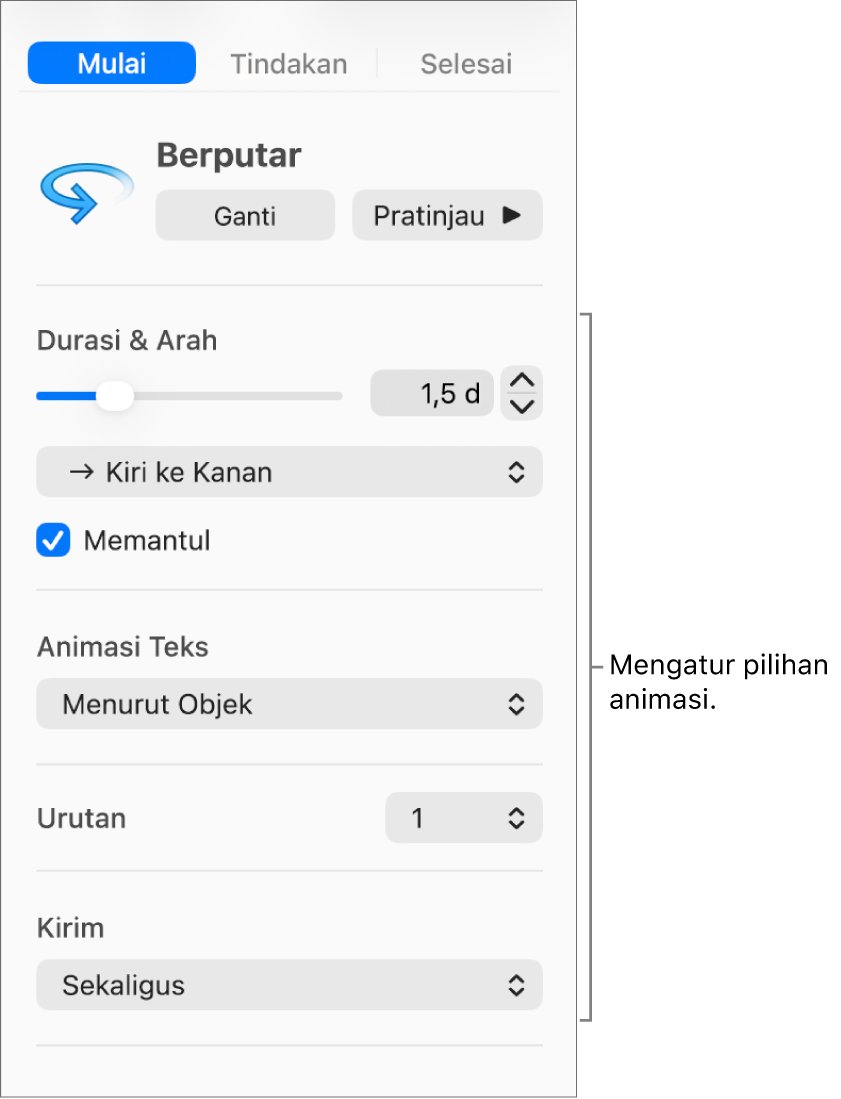 Pilihan Mulai di tab Buat Animasi pada bar samping.