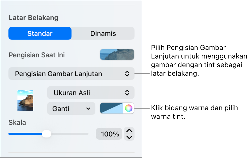 Kontrol Latar Belakang dengan Isi Gambar Lanjutan dengan tint diatur sebagai latar belakang slide.