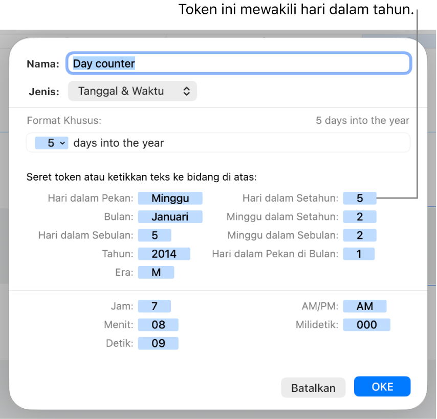 Jendela format sel khusus dengan kontrol untuk membuat format tanggal dan waktu khusus.