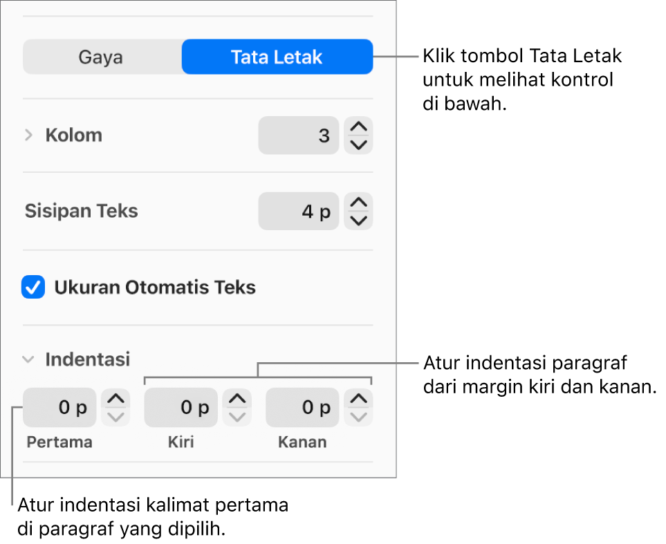 Bagian Tata Letak pada bar samping Format menampilkan kontrol untuk mengatur indentasi baris pertama dan margin paragraf.