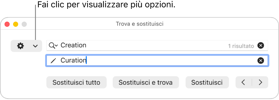 La finestra “Trova e sostituisci” con una didascalia per il menu a comparsa che consente di visualizzare più opzioni.