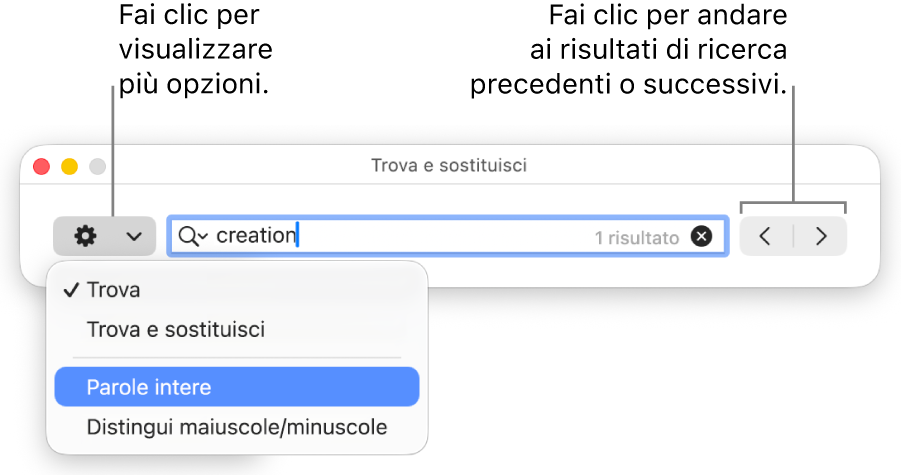 La finestra “Trova e sostituisci” con il menu a comparsa mostrante le opzioni per Trova, “Trova e sostituisci”, “Parole intere” e “Maiuscole/minuscole”. Le frecce a destra consentono di passare ai risultati di ricerca successivi o precedenti.
