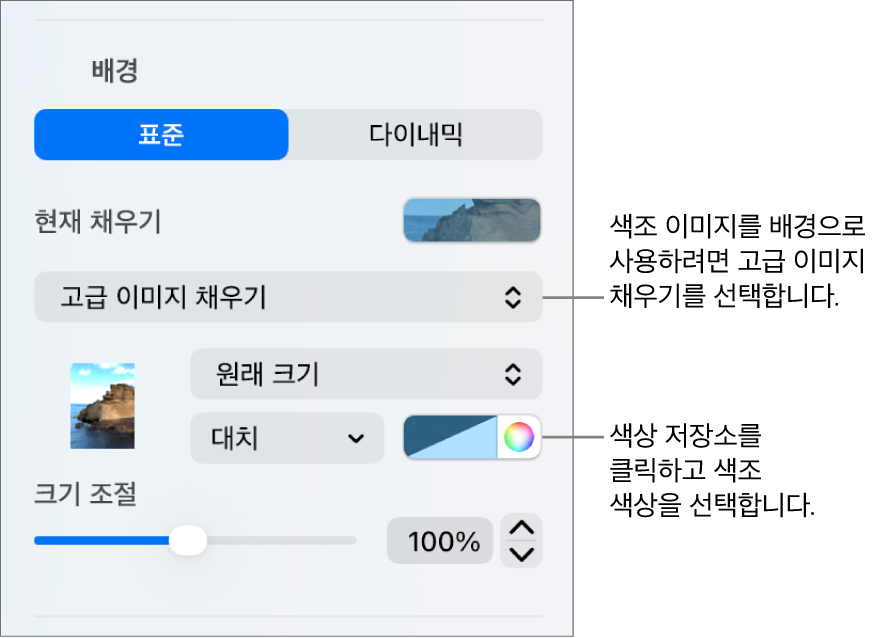 색조 고급 이미지 채우기가 슬라이드 배경으로 설정된 배경 제어기.