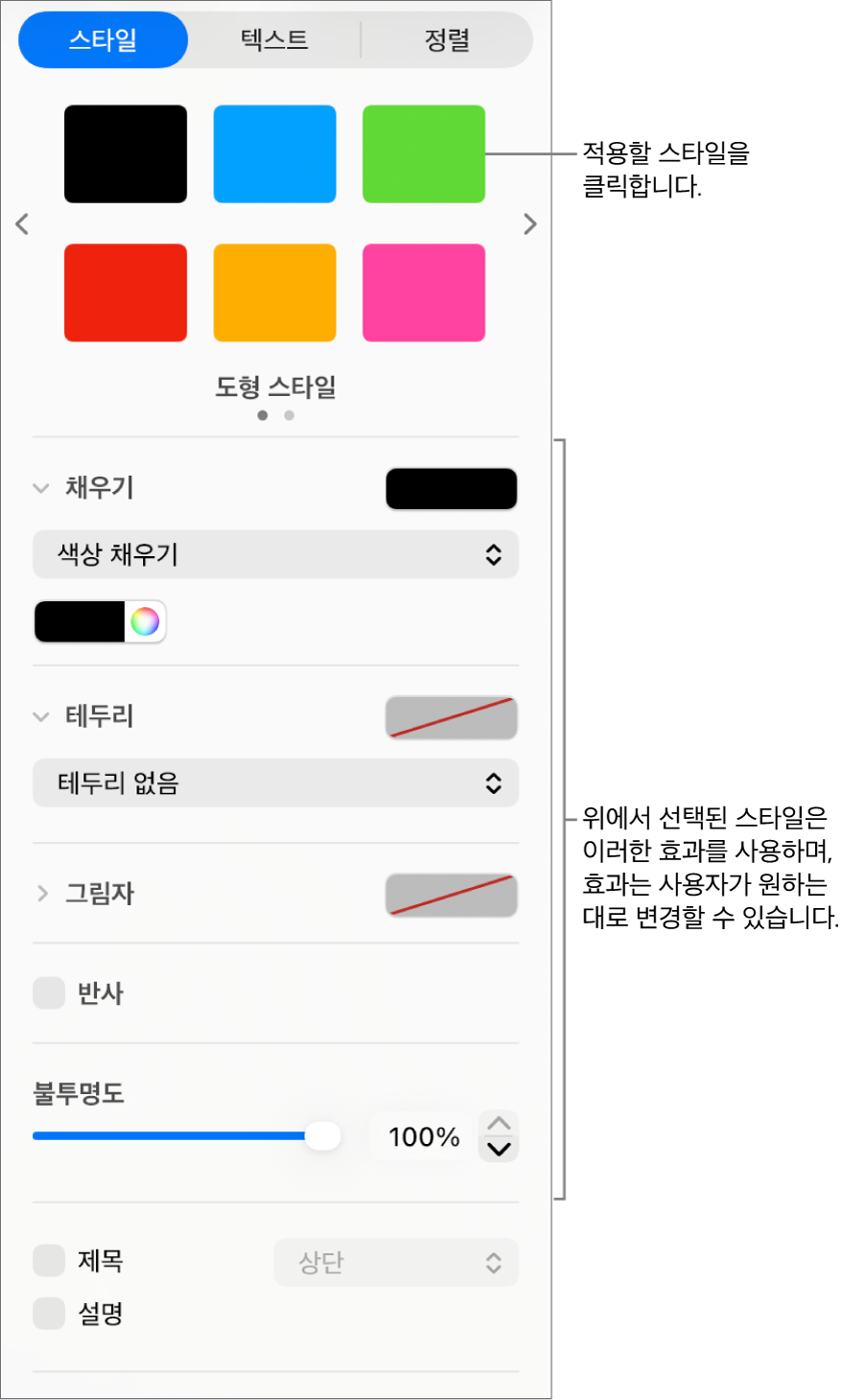 사이드바의 포맷 섹션에 있는 도형 스타일 및 옵션.