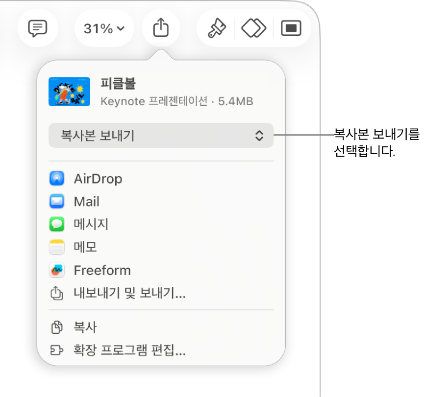 상단에 복사본 보내기가 선택되어 있는 공유 메뉴.