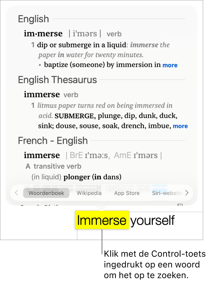Tekst met een gemarkeerd woord en een venster met de definitie en een thesaurusvermelding. Onder in het venster staan de knop voor het woordenboek en de knop voor Wikipedia.
