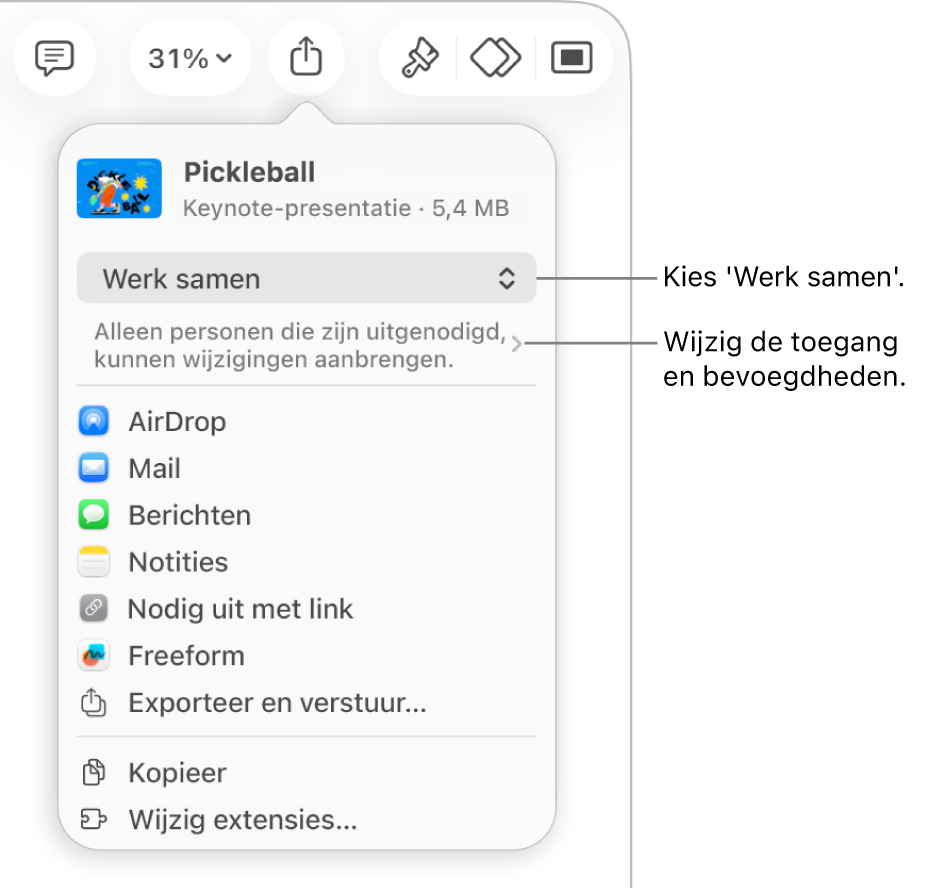 Het Deel-menu waarin bovenin 'Werk samen' is geselecteerd. Eronder staan toegangsinstellingen en bevoegdheden.