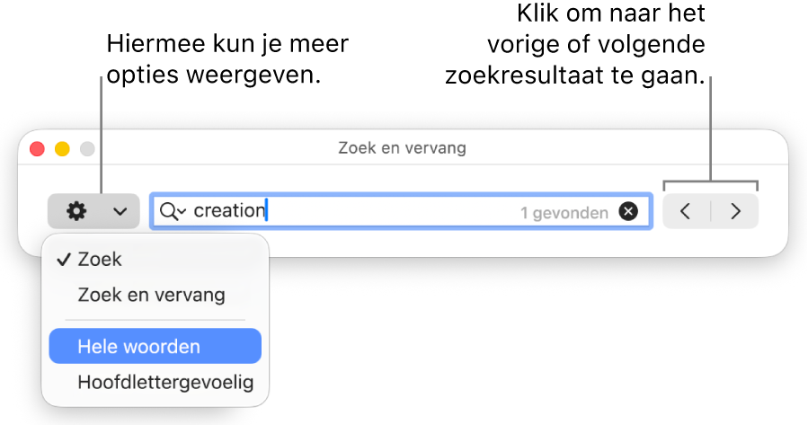 Het venster 'Zoek en vervang' met een pop‑upmenu met de opties 'Zoek', 'Zoek en vervang', 'Hele woorden' en 'Hoofdlettergevoelig'. Met de pijlen aan de rechterkant kun je naar het vorige of volgende zoekresultaat gaan.