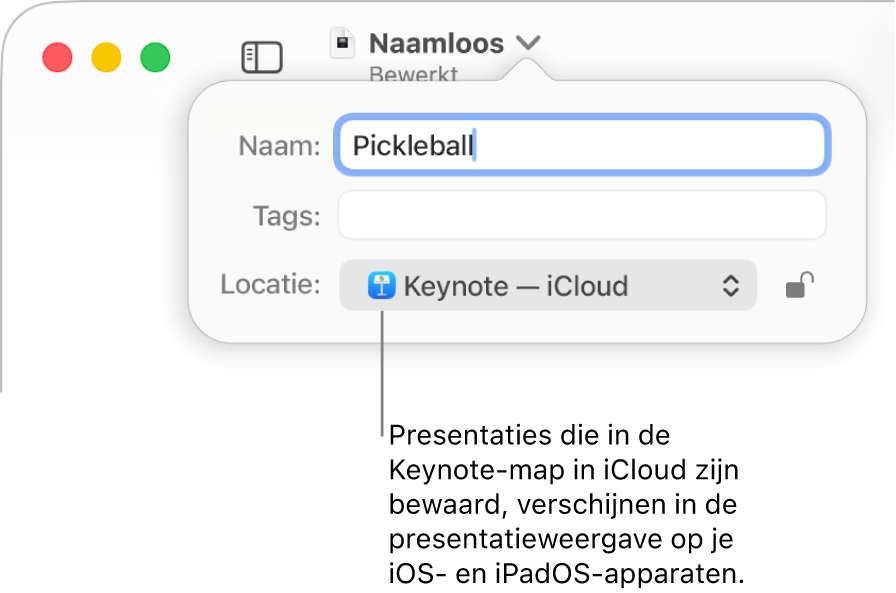 Het dialoogvenster 'Bewaar' voor een presentatie, met de optie 'Keynote - iCloud' in het pop‑upmenu 'Locatie'.