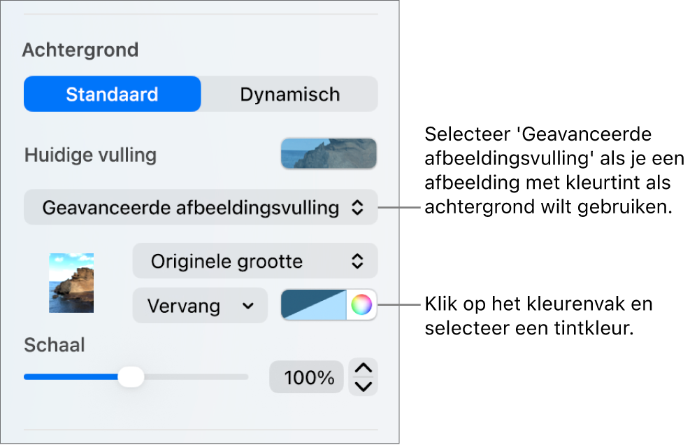 De achtergrondregelaars; als dia-achtergrond is een geavanceerde afbeeldingsvulling met een tint ingesteld.