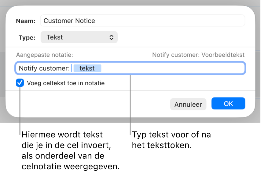 Aangepaste notatie voor tekstcel.