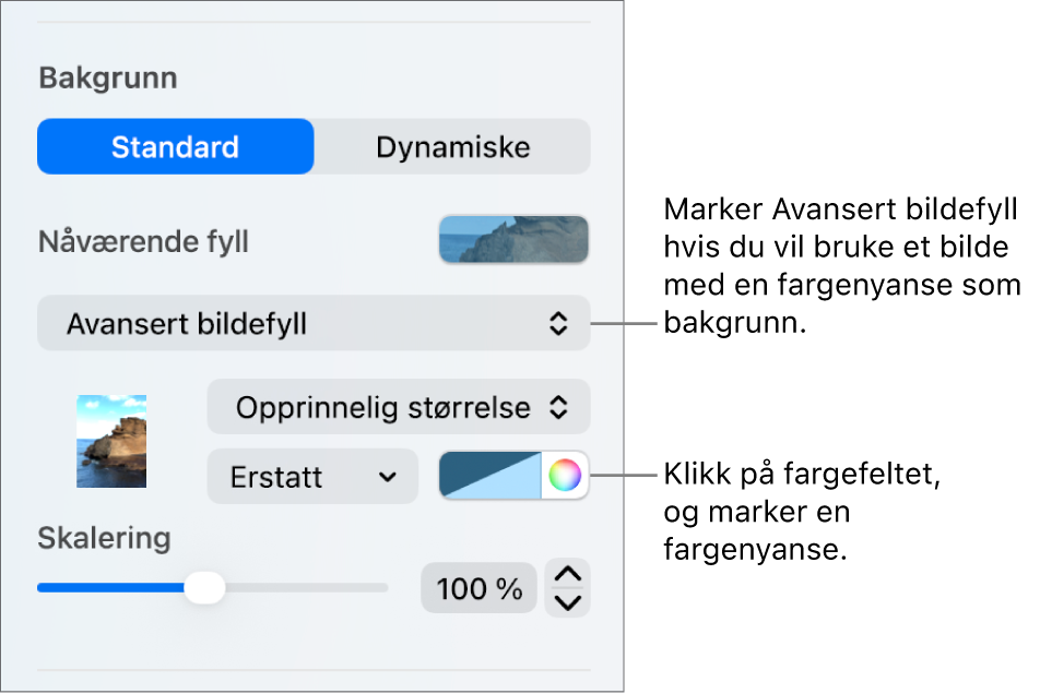 Bakgrunn-kontrollene med Avansert bildefyll med farge angitt som lysbildebakgrunn.