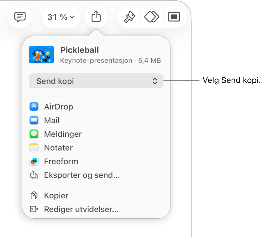 Del-menyen med Send kopi markert øverst.