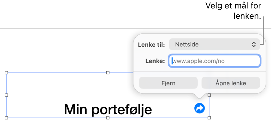 Lenkeredigerer-kontrollene med Nettside markert, og Fjerne lenke- og Åpne lenke-knappene nederst.