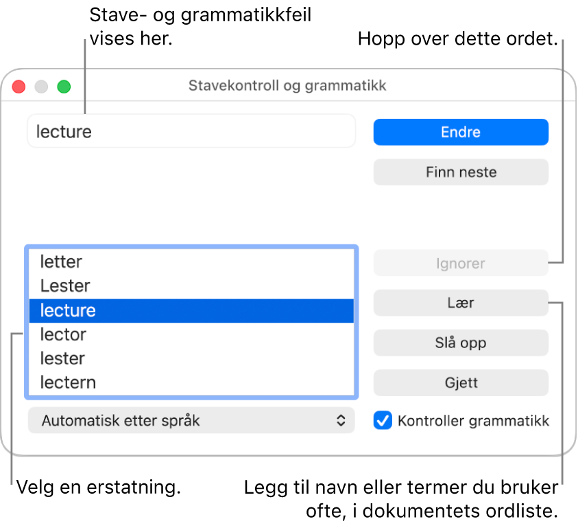 Stavekontroll og grammatikk-vinduet.