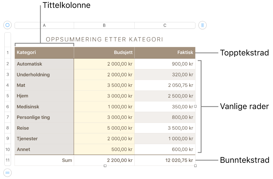 En tabell som viser tittelrader og -kolonner, vanlige rader og kolonner, bunnrader og -kolonner og håndtak for å legge til eller slette rader eller kolonner.