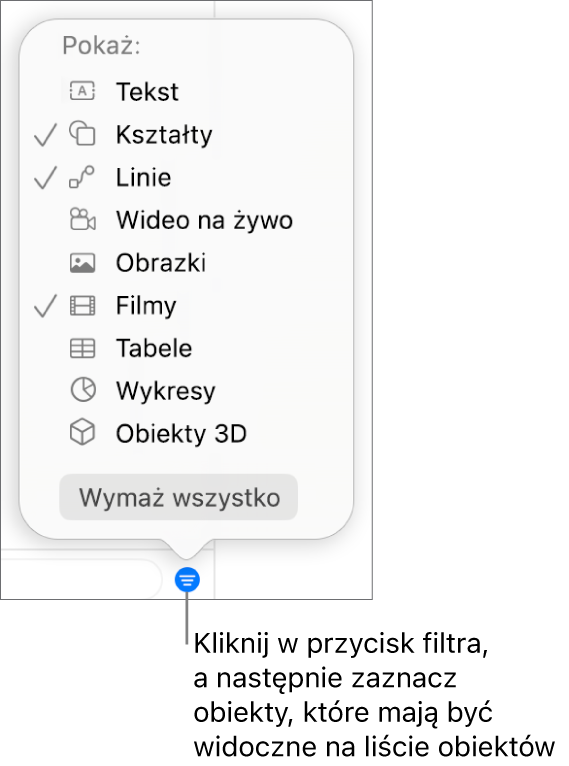 Rozwinięte menu podręczne filtra, zawierające listę typów obiektów, jakie mogą znajdować się na liście (tekst, kształty, linie, obrazki, filmy, tabele i wykresy).