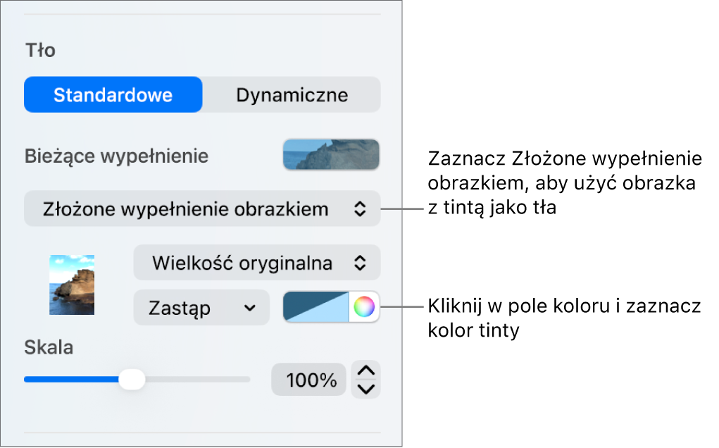 Narzędzia tła z wybraną opcją Złożone wypełnienie obrazkiem oraz tintą ustawionym jako tło slajdu.