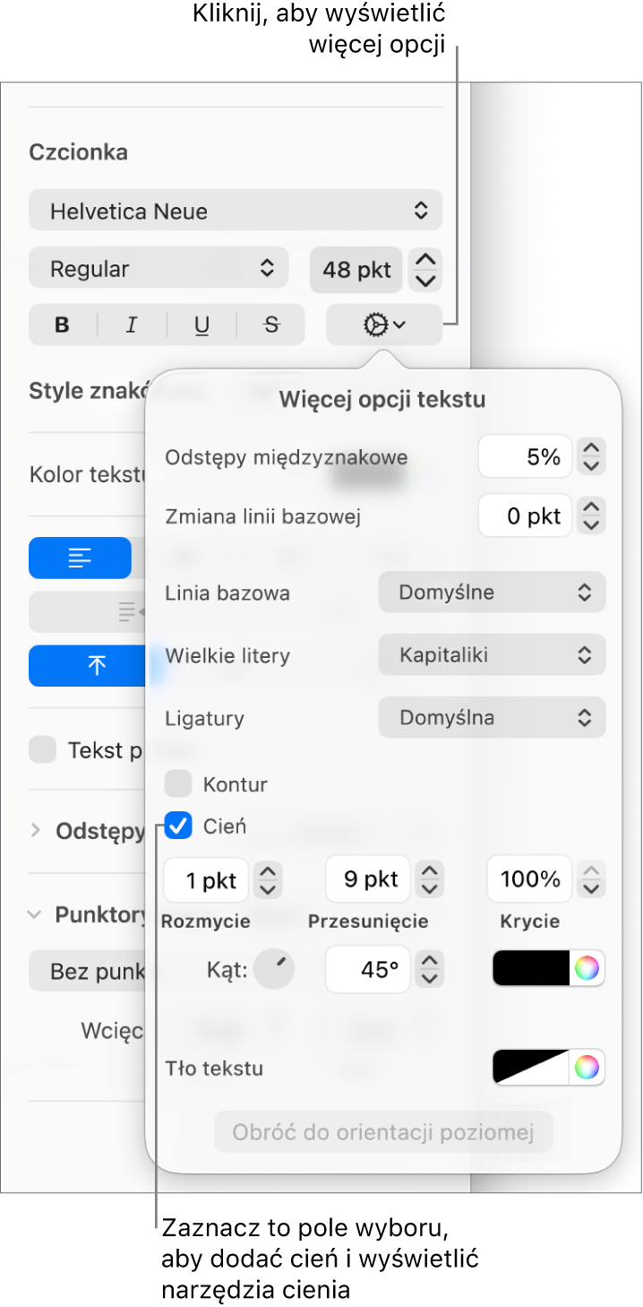 Opcje zaawansowane z zaznaczonym polem wyboru Cień i narzędziami do ustawiania rozmycia, przesunięcia, krycia, kąta oraz koloru.
