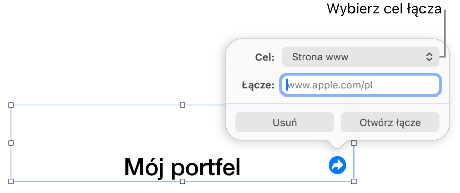 Narzędzia edytora łączy; wybrane jest narzędzie Strona www; na dole znajdują się przyciski Usuń i Otwórz łącze.