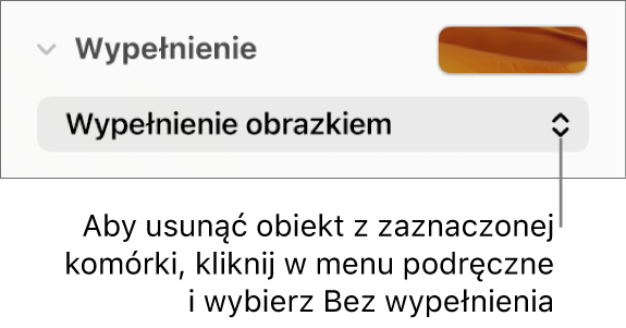 Narzędzie usuwania obiektu z zaznaczonej komórki.