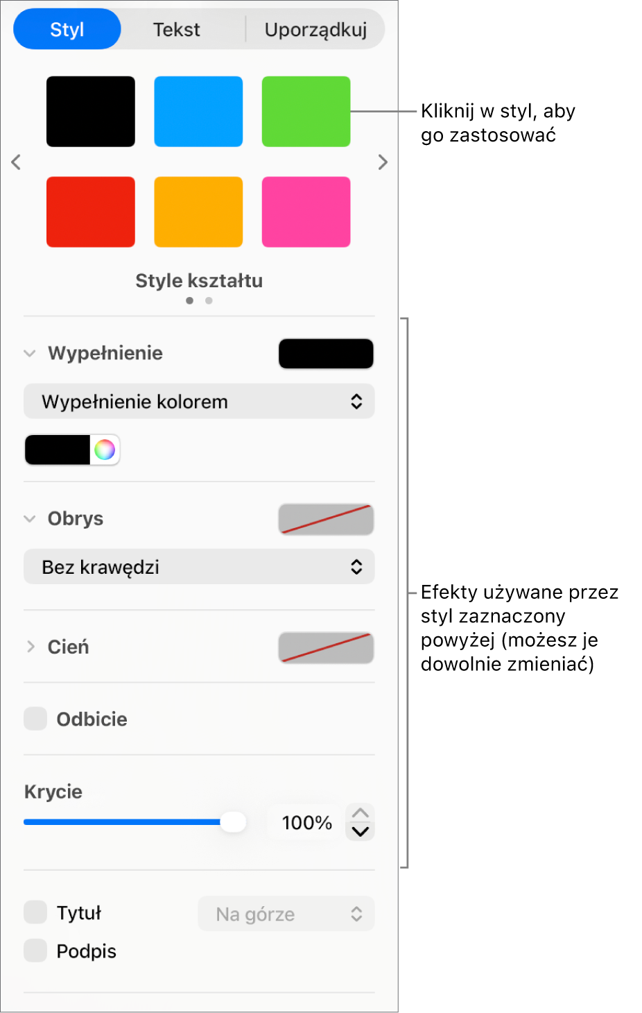 Style kształtów i opcje w sekcji Format na pasku bocznym.
