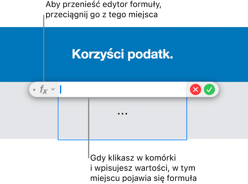 Edytor formuł.
