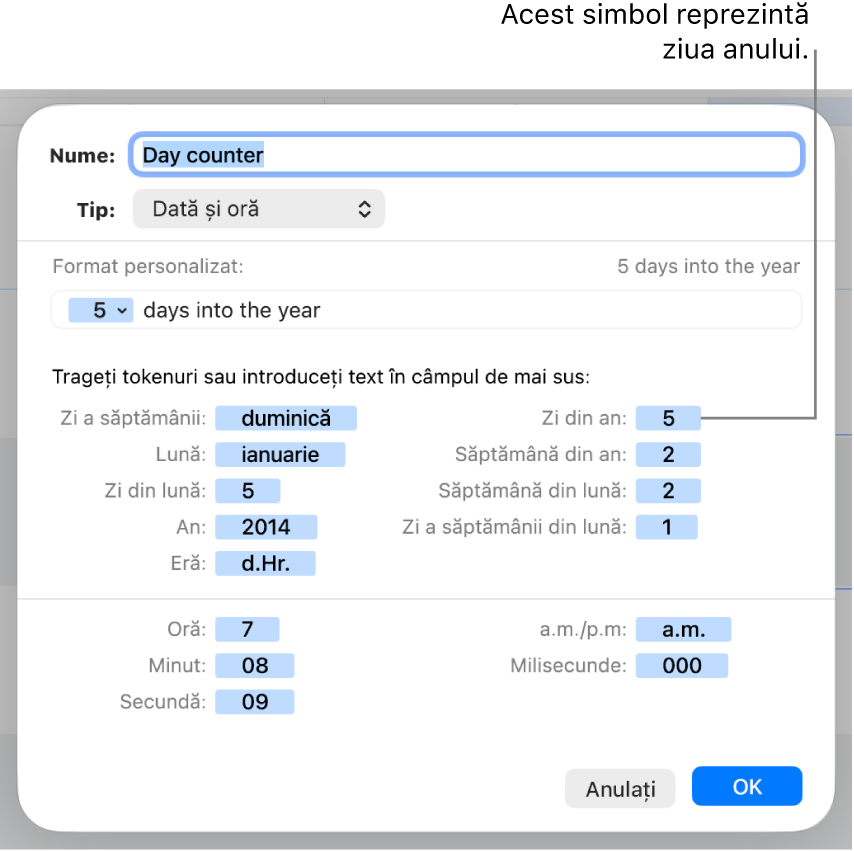 Fereastra de formatare personalizată a celulei, cu comenzi pentru crearea unei formatări personalizate a datei și orei.