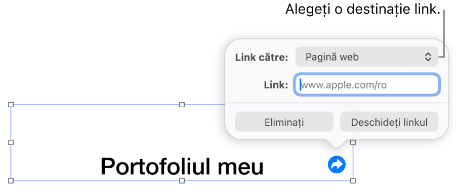 Comenzile editorului de linkuri cu opțiunea Pagină web selectată și butoanele Elimină și Deschide linkul în partea de jos.