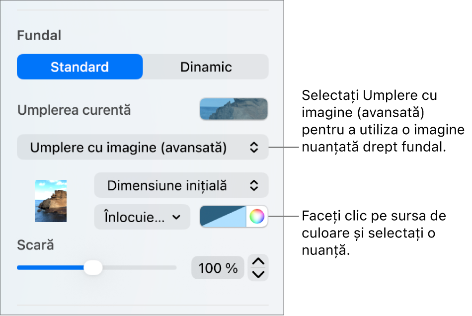 Comenzile Fundal cu o umplere cu imagine (avansată) nuanțată configurată drept fundal al diapozitivului.