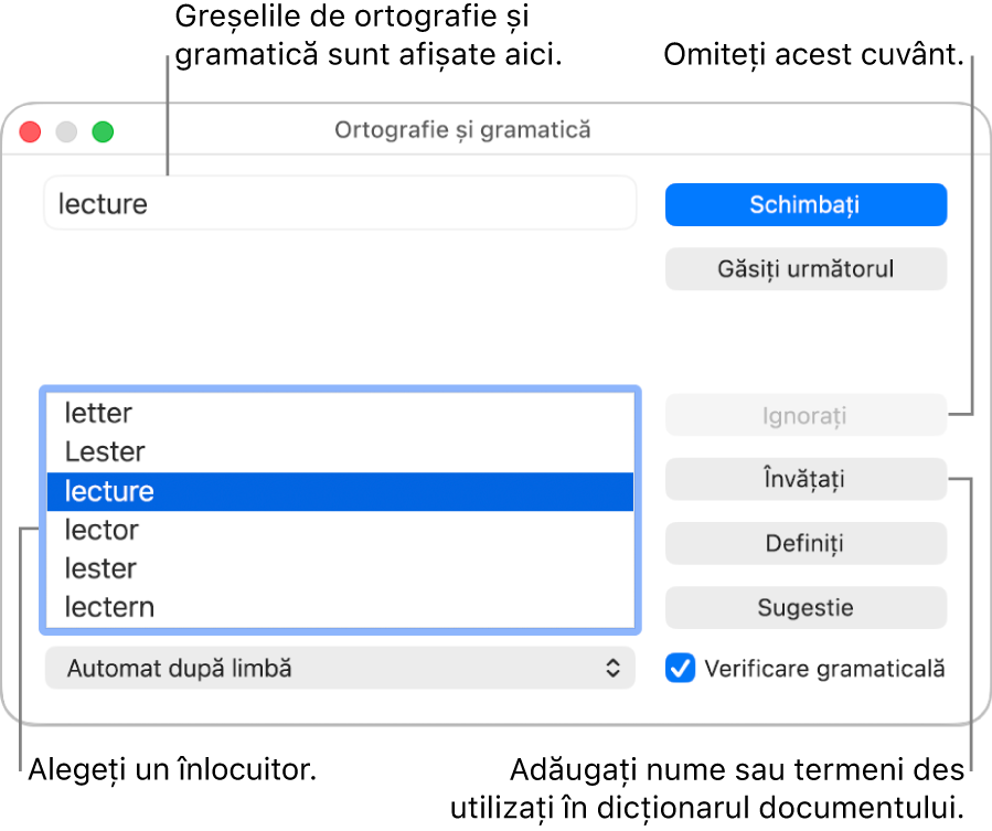 Fereastra Ortografie și gramatică.